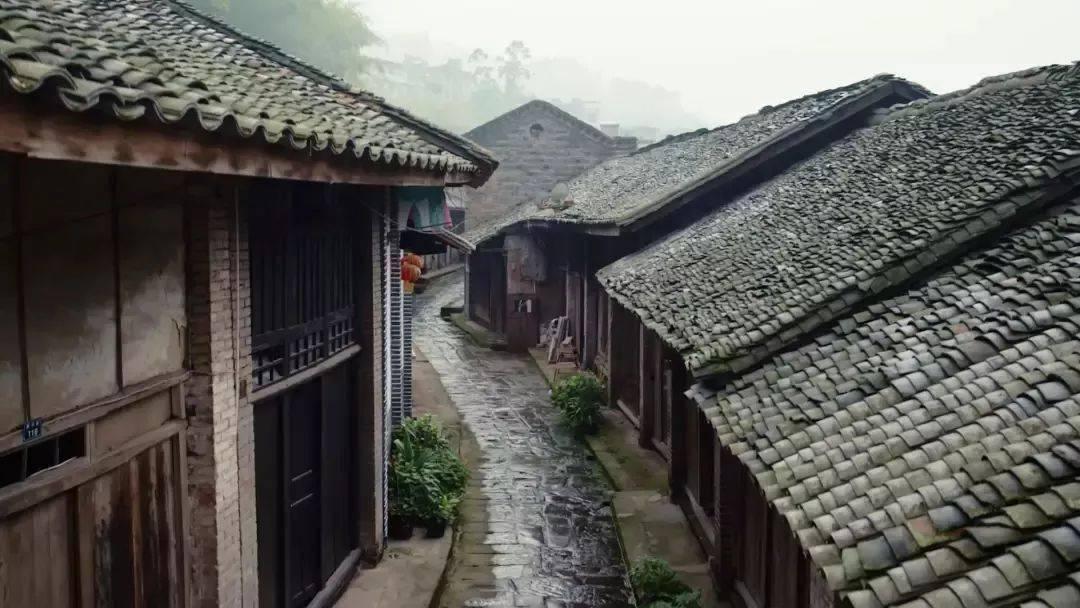 紫色魔法师守城中文版